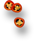 spice