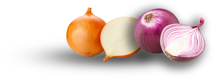 onion